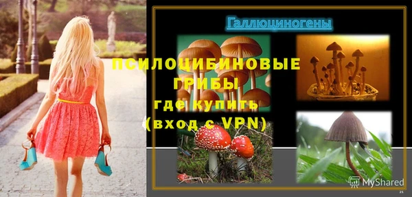прущие крисы Надым